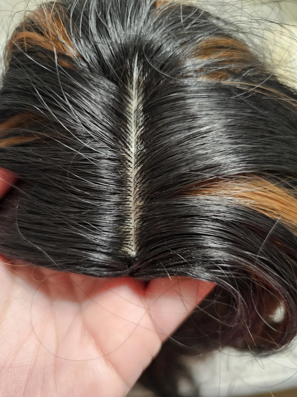Black Wig with Brown Highlights - Women Hair